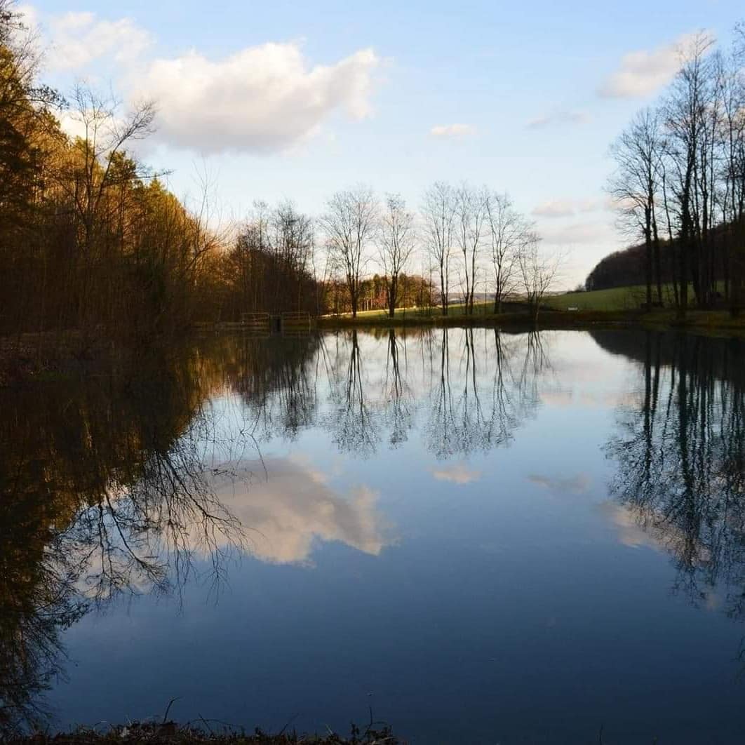 116048860_819632152179463_702172453036396117_n Hébergement insolite en Champagne-Ardenne, au bord dun lac paisible et entouré darbres.