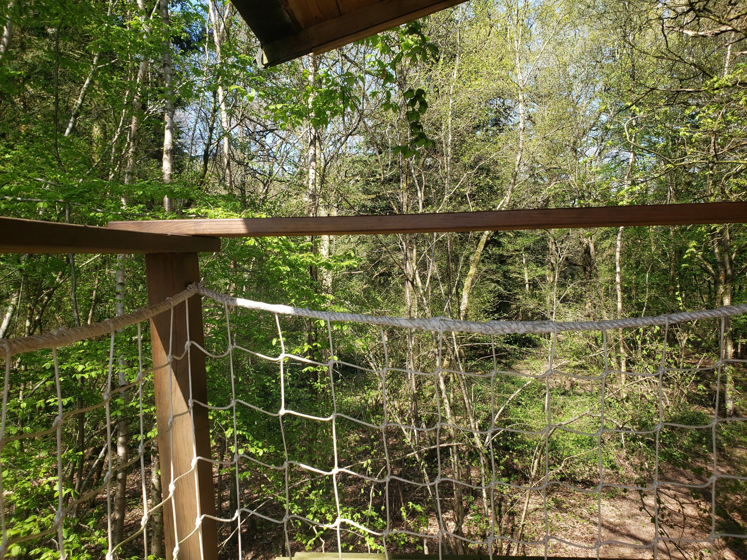 20250410_122115 Cabane perchée en bois, vue sur la forêt verdoyante de Haute-Normandie.
