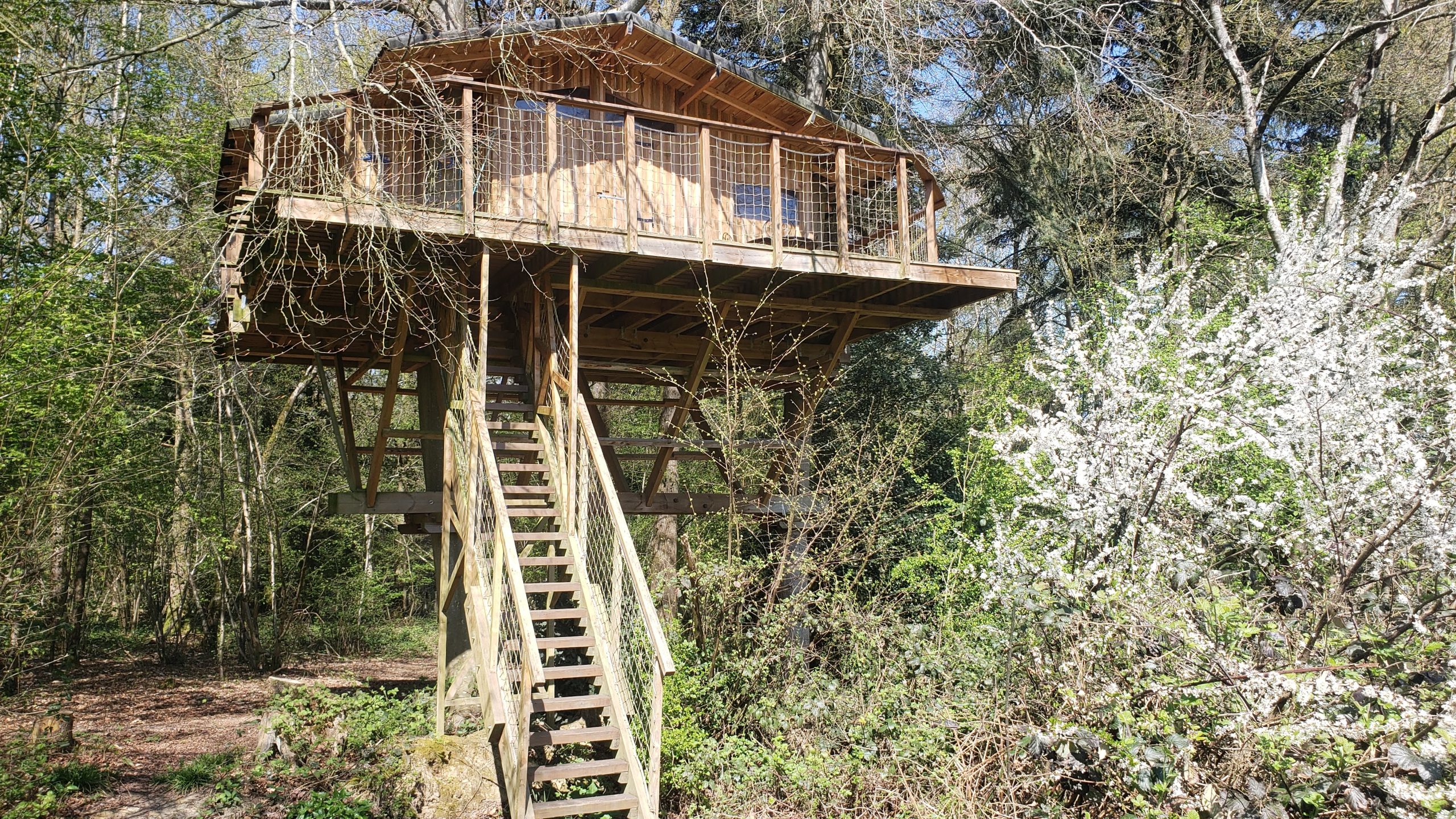 20250410_123716 Cabane perchée en bois, entourée de verdure et darbres fleuris en Haute-Normandie.