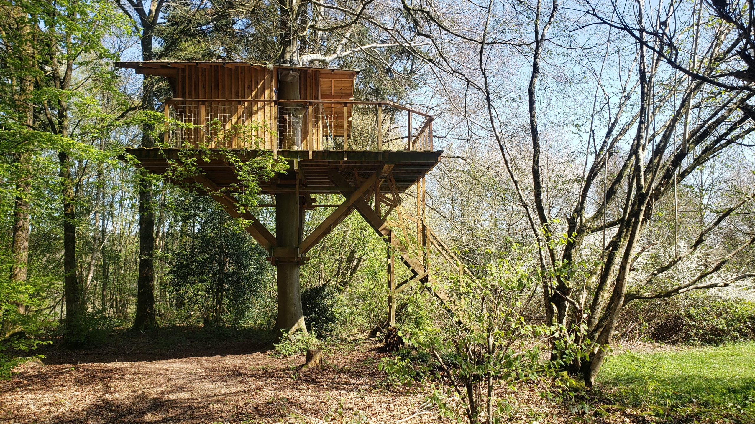 20250410_123810 Cabane perchée dans les arbres, entourée de verdure et baignée de lumière naturelle.