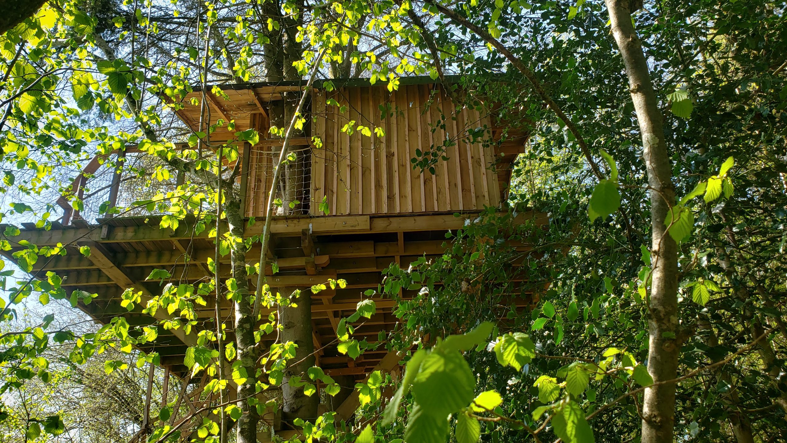 20250410_123909 Cabane perchée dans les arbres, entourée de feuillage verdoyant en Haute-Normandie.