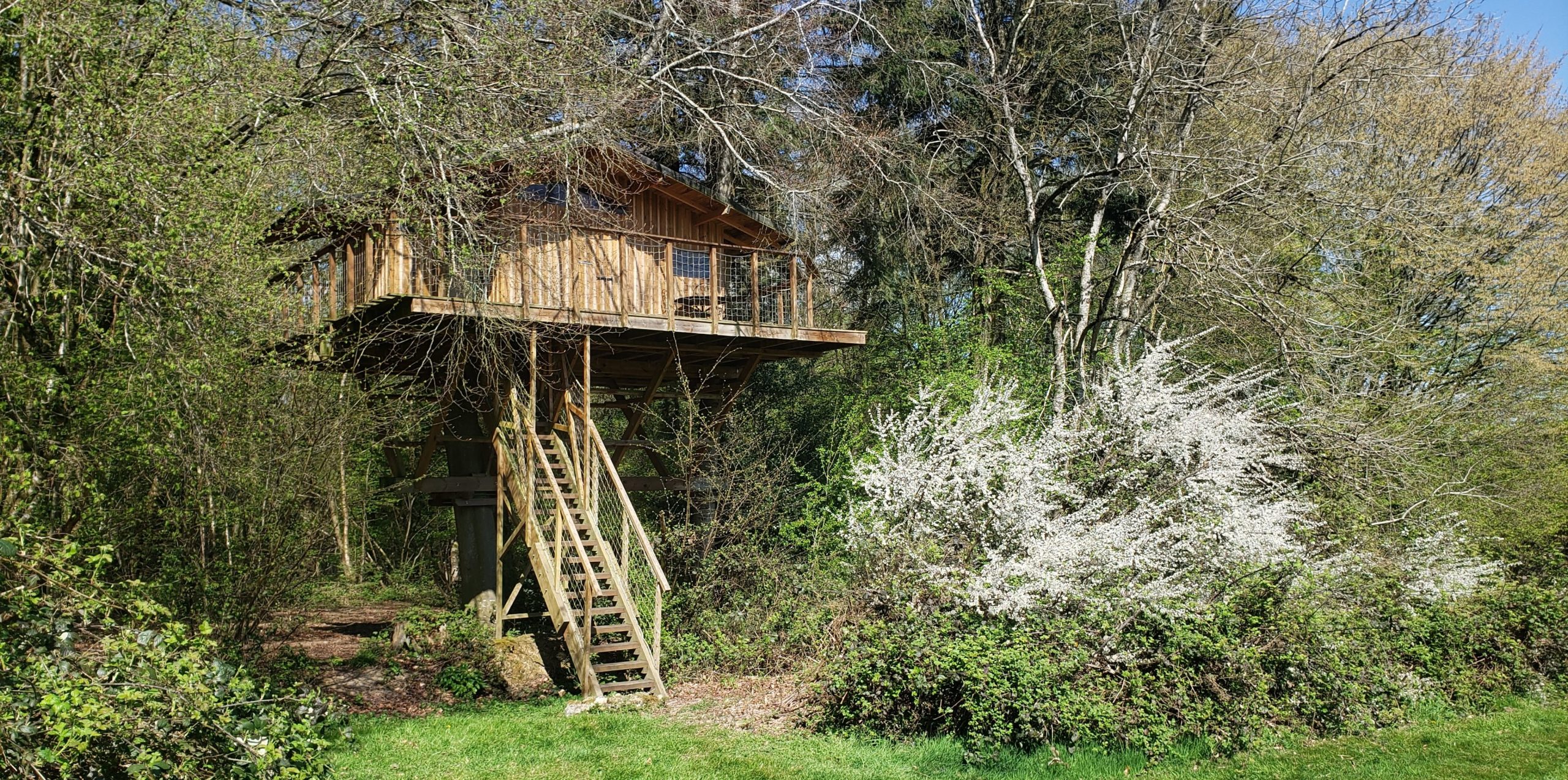 20250410_123944 Cabane perchée en bois dans les arbres, entourée de verdure et de fleurs blanches.