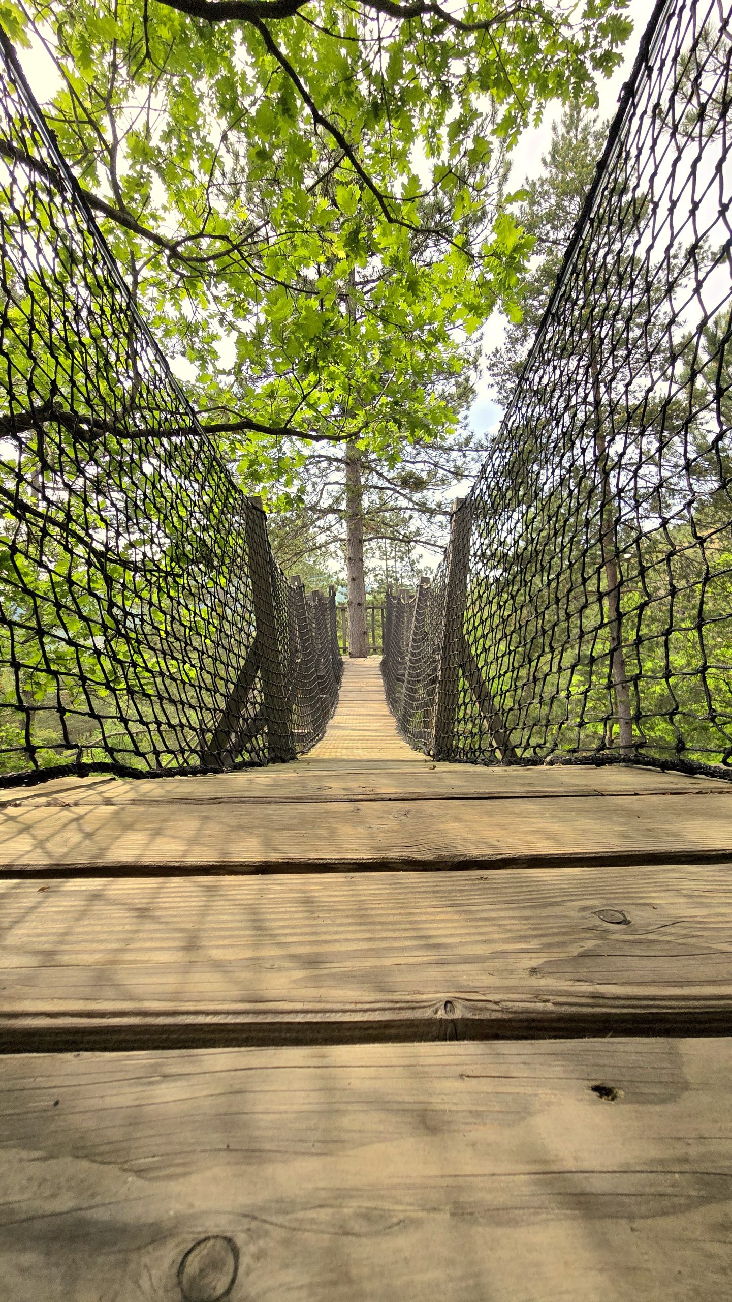 20250519_164402 Pont suspendu en bois menant à un hébergement insolite en pleine nature.