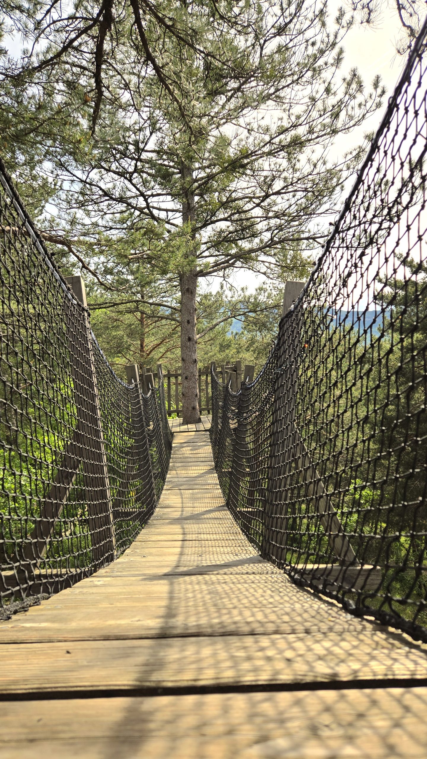 20250519_170343 Pont suspendu menant à un hébergement insolite en pleine nature, Provence-Alpes-Côte dAzur.