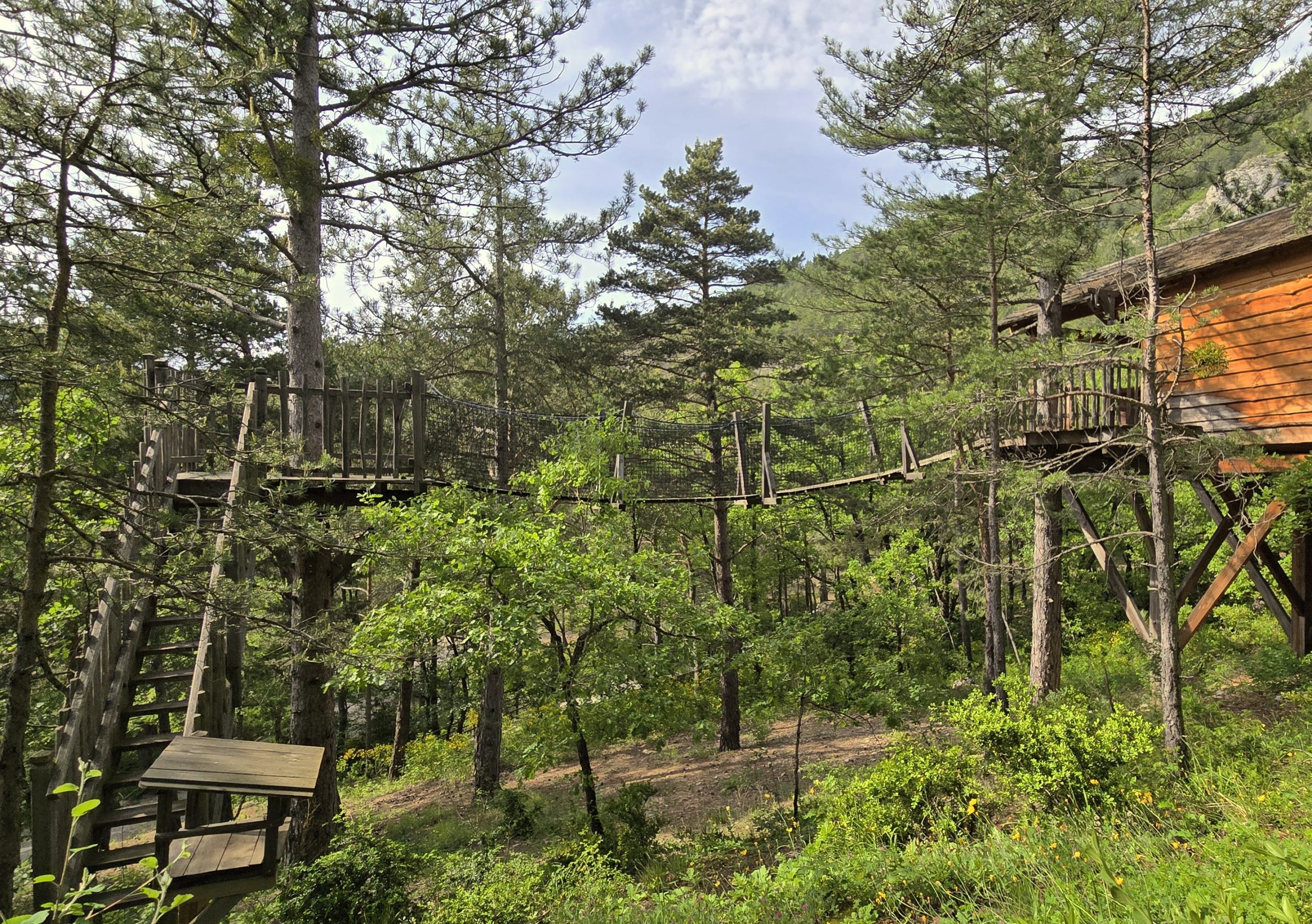20250519_170510 Cabane perchée dans les arbres, entourée de verdure et de pins en Provence-Alpes-Côte dAzur.