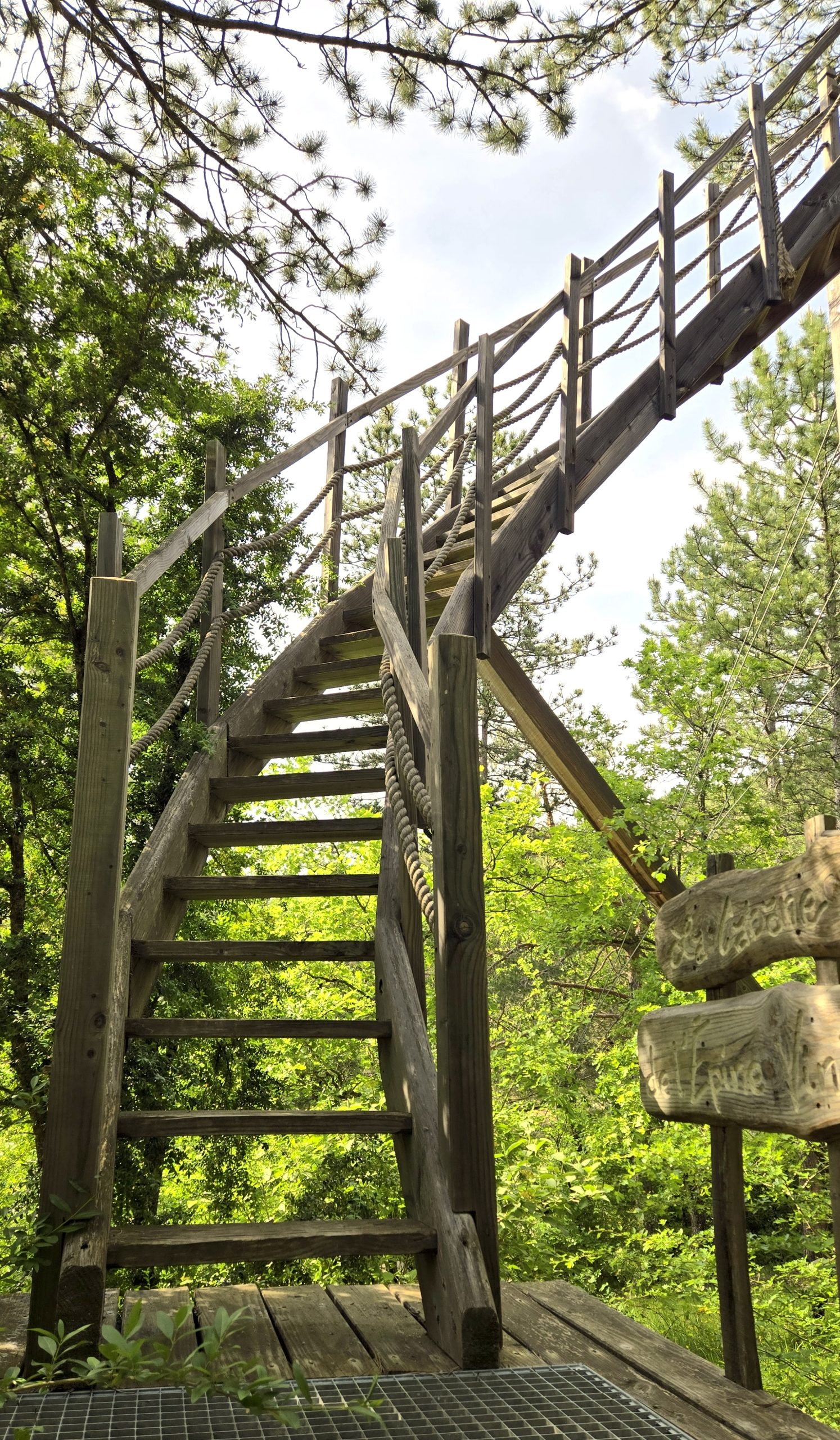 20250519_170854 Escalier en bois menant à une cabane perchée dans les arbres en Provence-Alpes-Côte dAzur.
