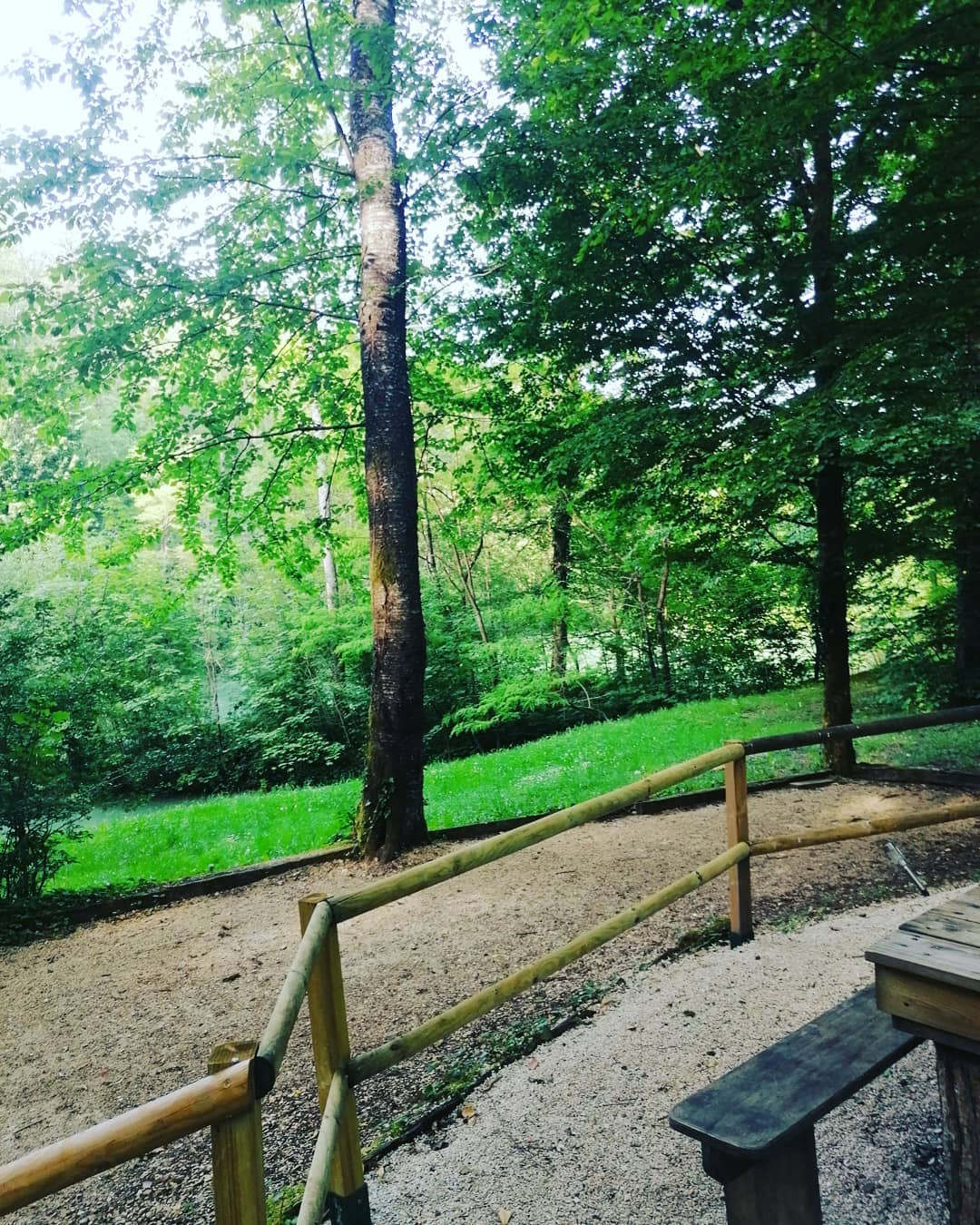 203179918_187236616738330_3703647096356246088_n Hébergement insolite en pleine nature, entouré darbres verdoyants et paisibles.