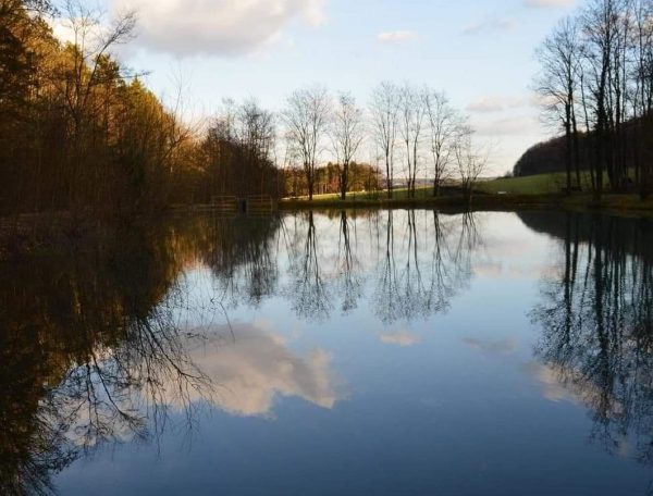 486749669_1963171847825482_2754969364330148629_n