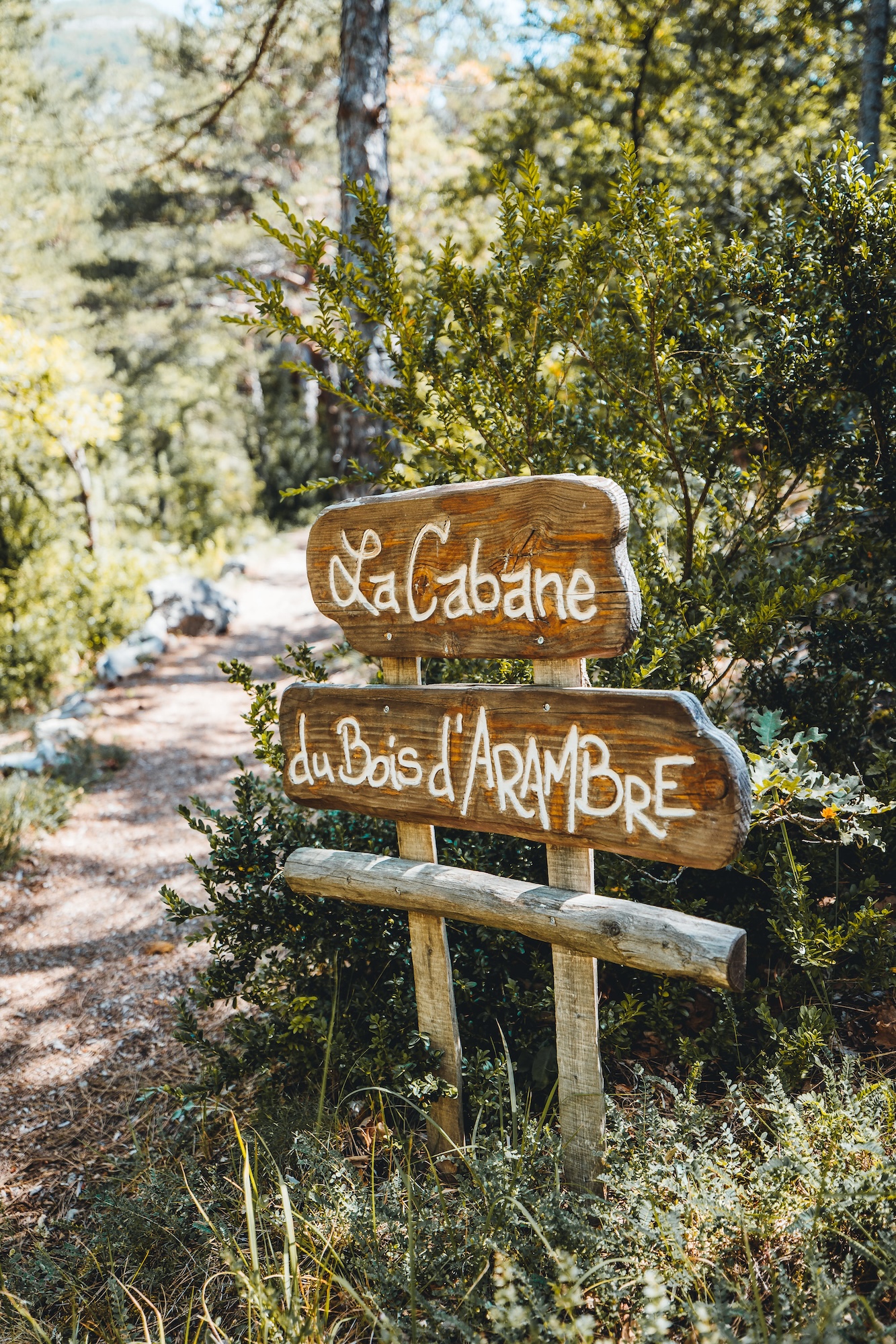 Copie de 04072022-5X2A1270 Cabane en bois au cœur de la nature, entourée de verdure à Provence-Alpes-Côte dAzur.