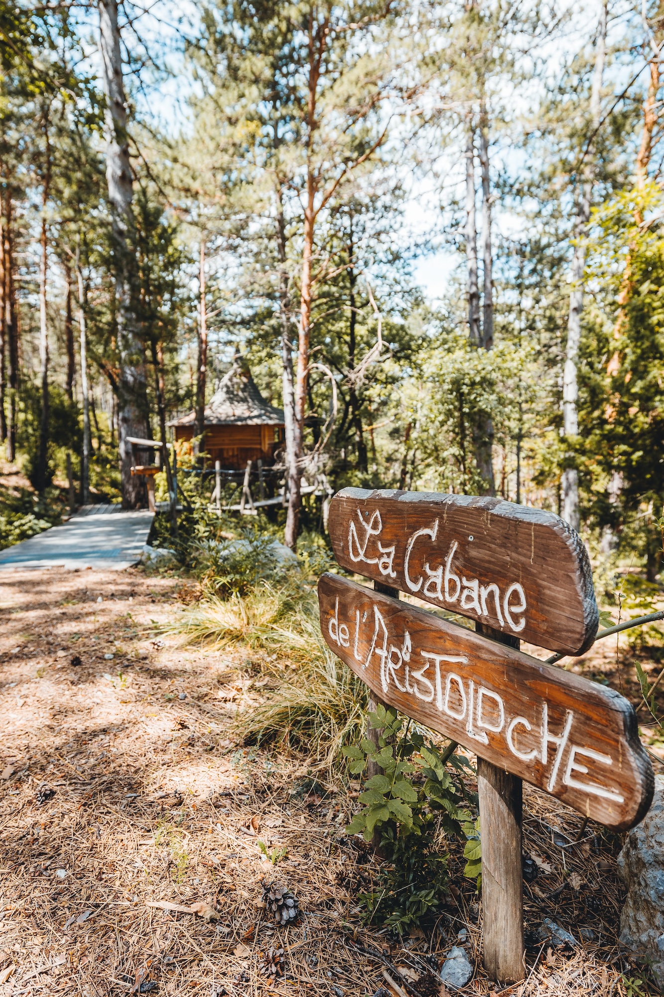 Copie de 04072022-5X2A1304 Cabane en bois nichée dans la forêt, entourée de verdure apaisante.