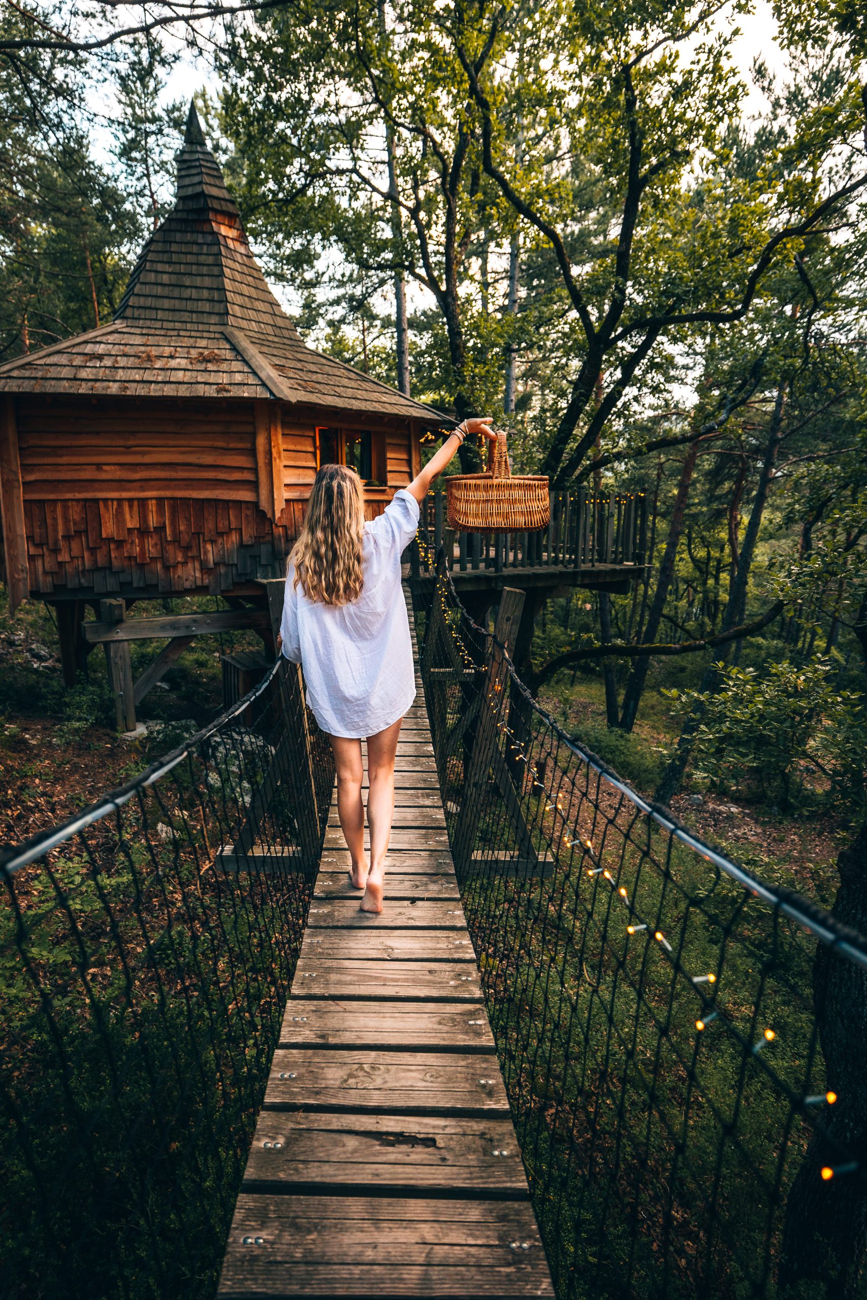 Copie de 04072022-5X2A1516 Cabane dans les arbres en Provence, accessible par un pont suspendu verdoyant.