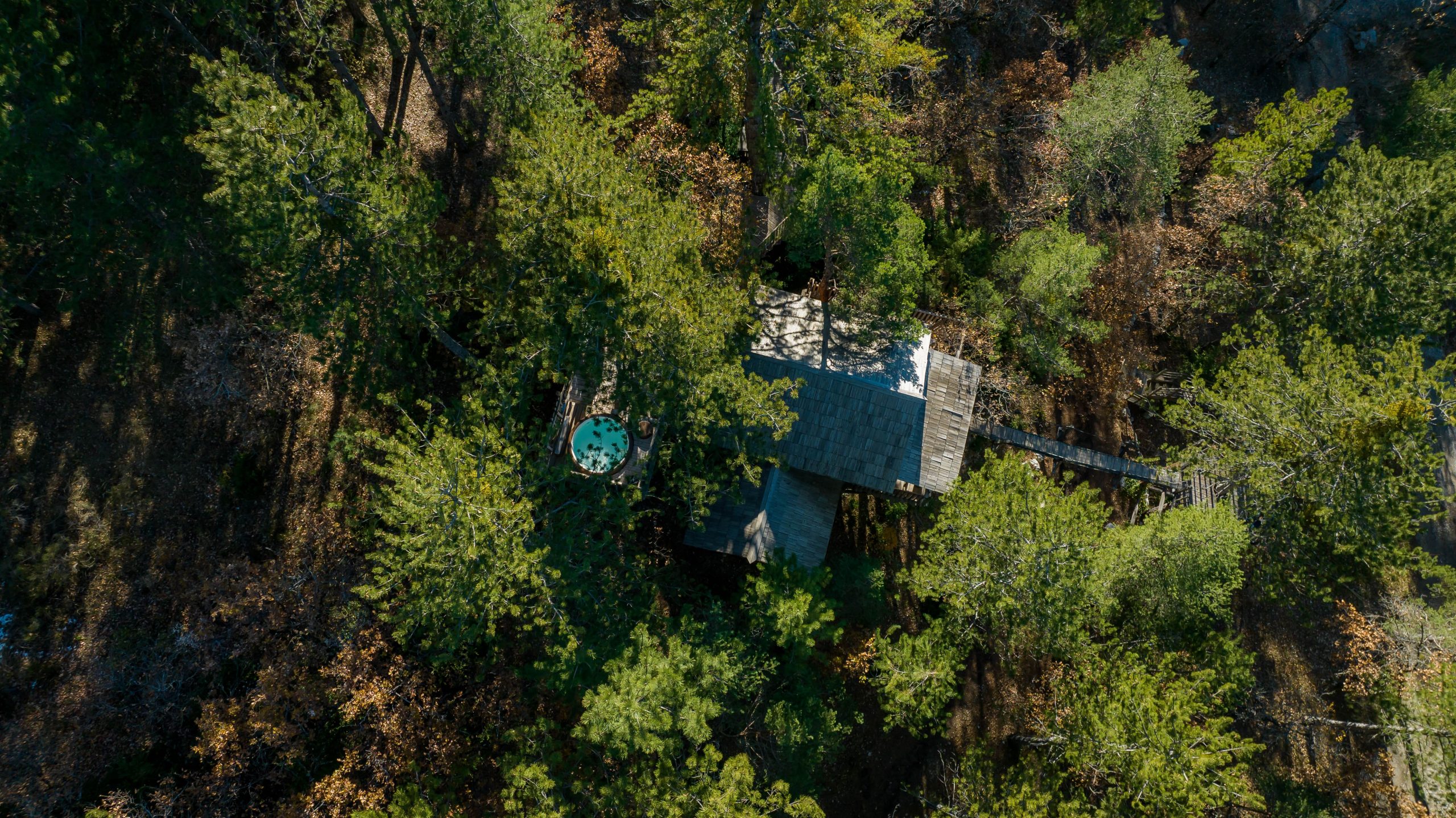 Copie de DJI_0079 Cabane perchée en pleine forêt, entourée darbres verdoyants et dune terrasse.