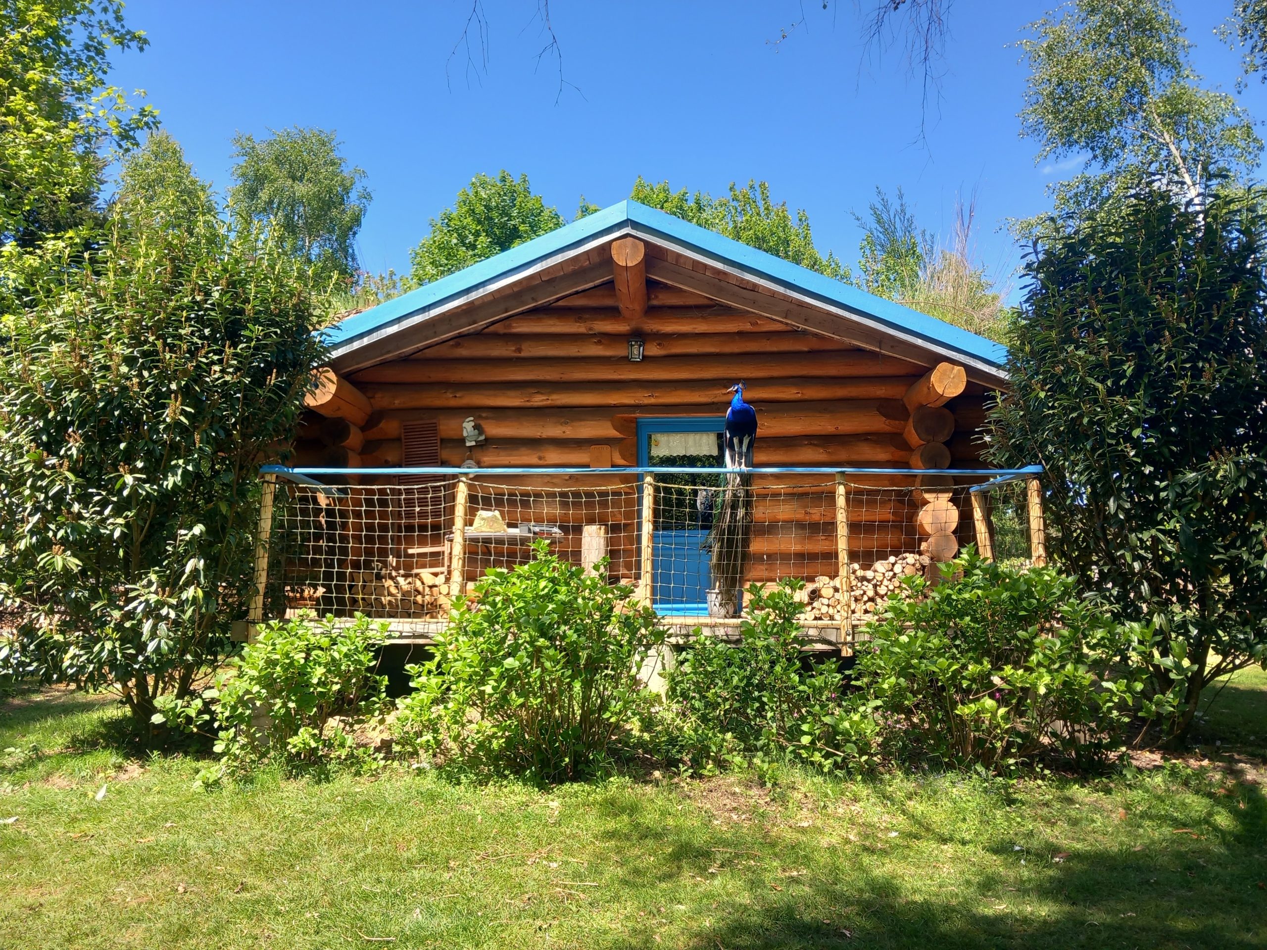 Fuste 2 de face Charmante cabane en bois avec un balcon, entourée de verdure et d'un ciel bleu.