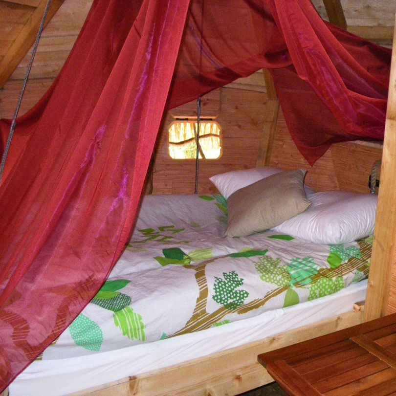 Grand hêtre1 Cabane perchée avec un lit douillet, drapée de voiles rouges et décorée de motifs naturels.