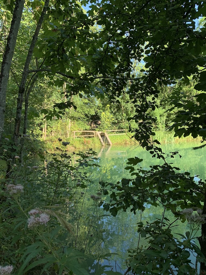 IMG_0141 Hébergement insolite en pleine nature, avec un étang turquoise entouré darbres.