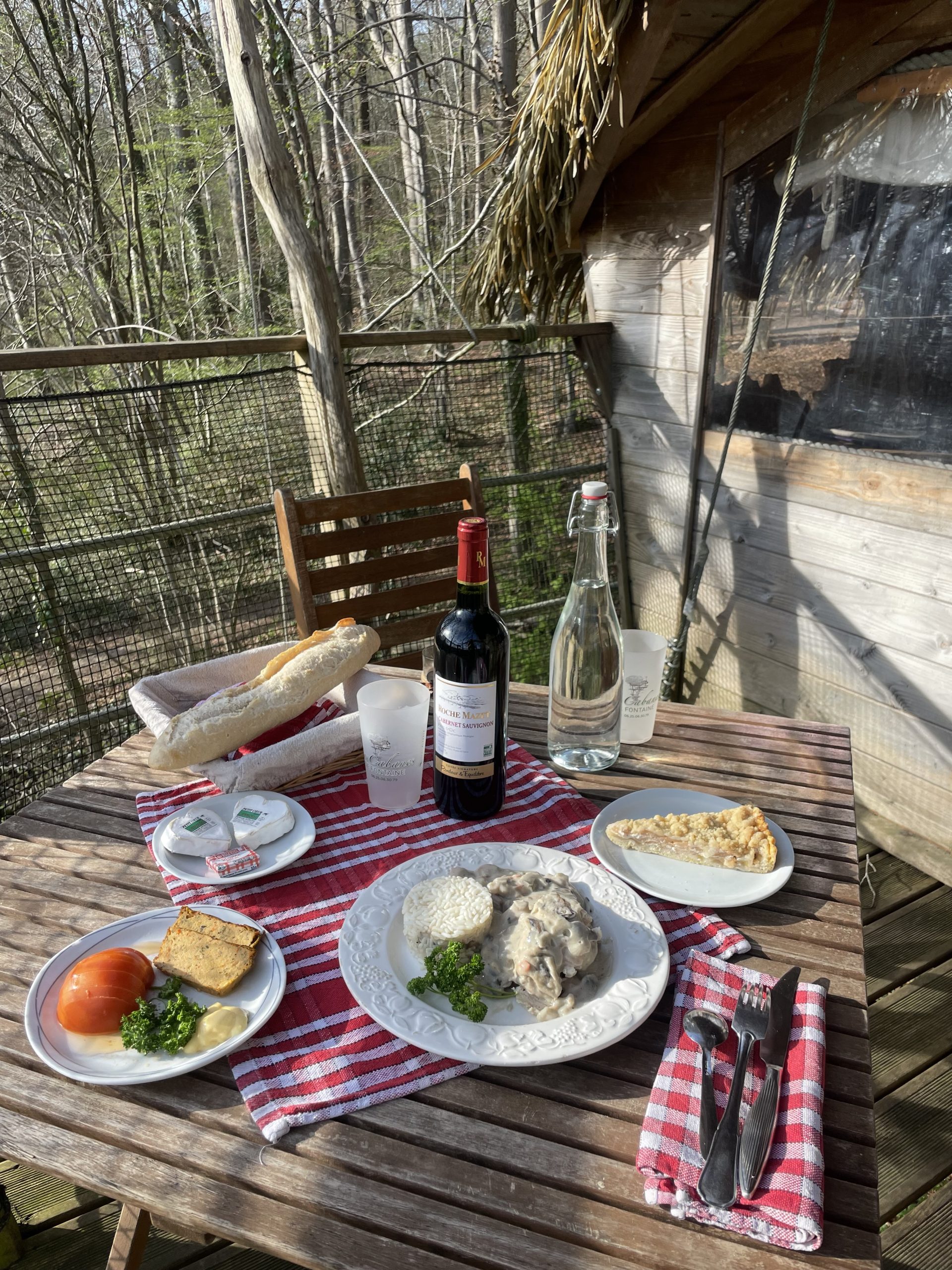 IMG_1465 Repas savoureux sur la terrasse d'un cabanon en bois, entouré de verdure.