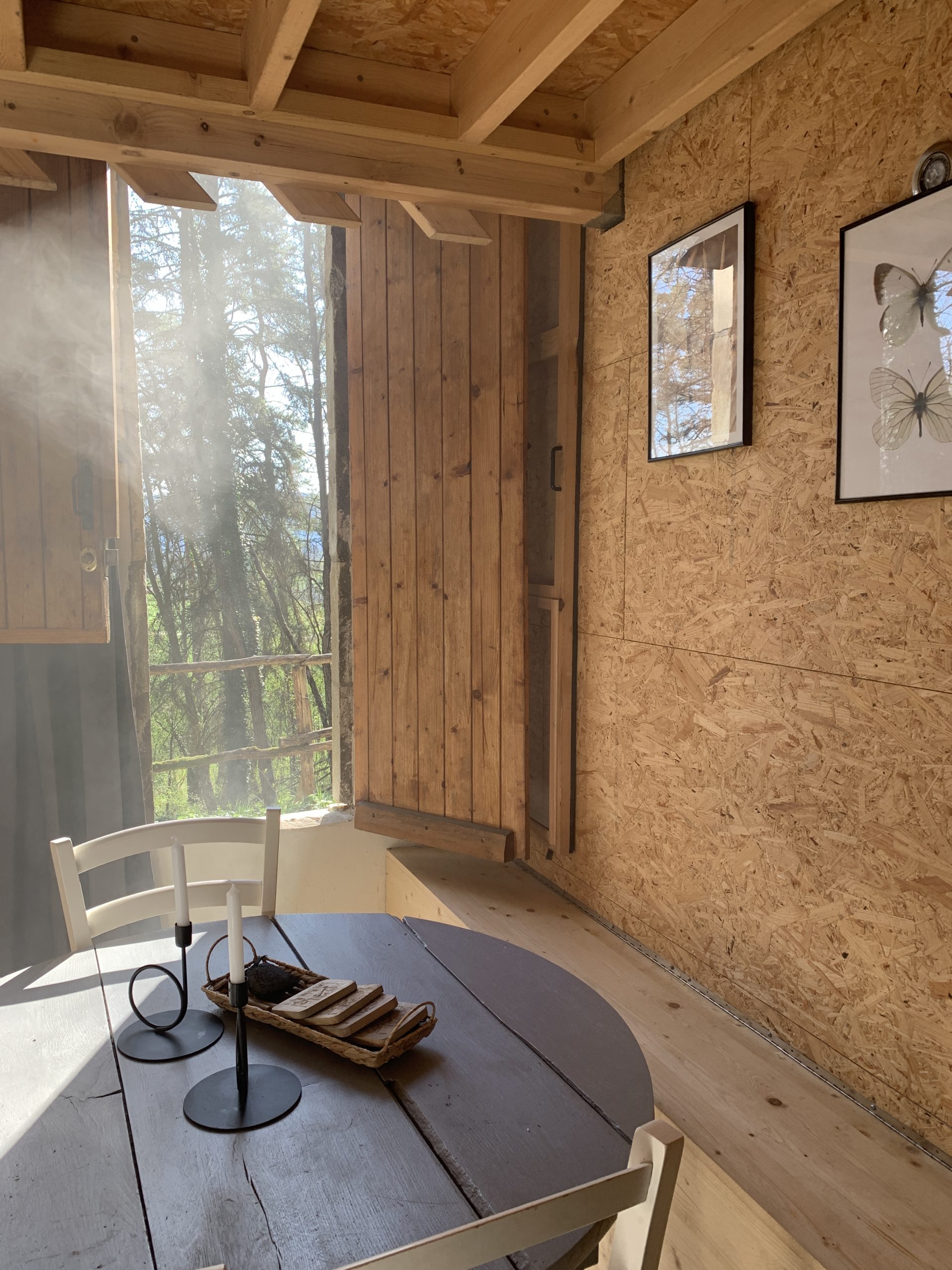 IMG_2623 Cabane en bois à Champagne-Ardennes, avec lumière douce et décor naturel.