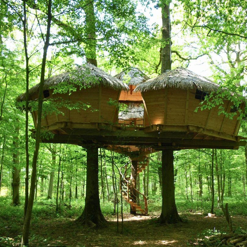 Robin des bois4 Cabane dans les arbres avec toits de chaume, perchée au cœur d'une forêt verdoyante.
