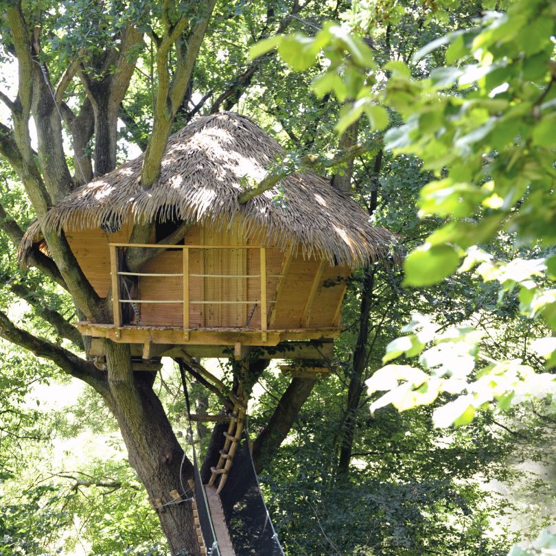 Vieux chène Cabane dans les arbres avec toit de chaume, perchée au cœur d'une verdure luxuriante.