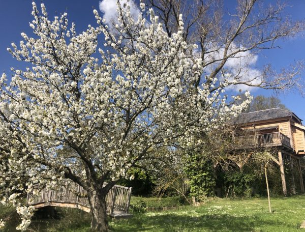 cabane au printemps_SMALL_compressed
