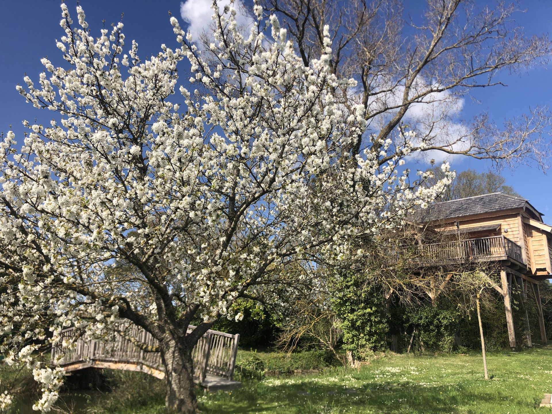 cabane au printemps_SMALL_compressed