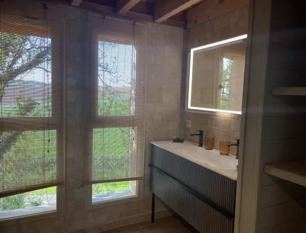 salle d'eau_SMALL_compressed