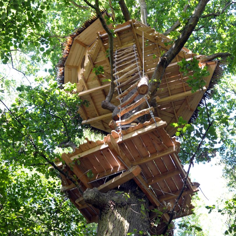 terriers2 Cabane dans les arbres, perchée entre les feuillages, avec une échelle en bois rustique.