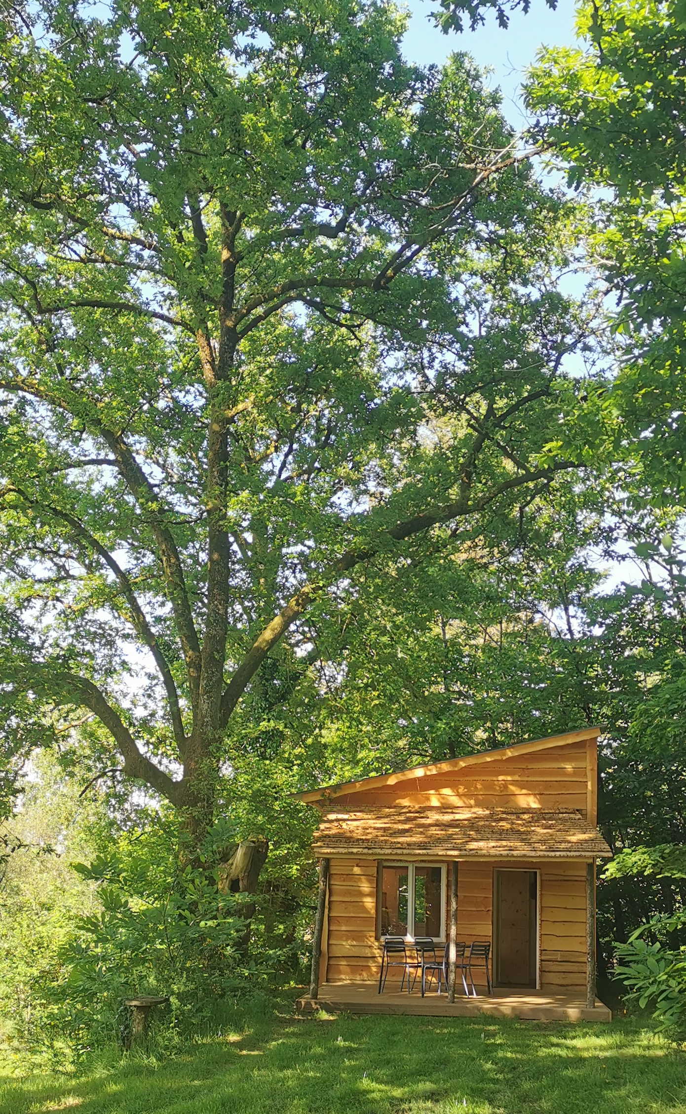 1 Charmante cabane en bois, nichée sous un grand arbre, avec une terrasse accueillante.