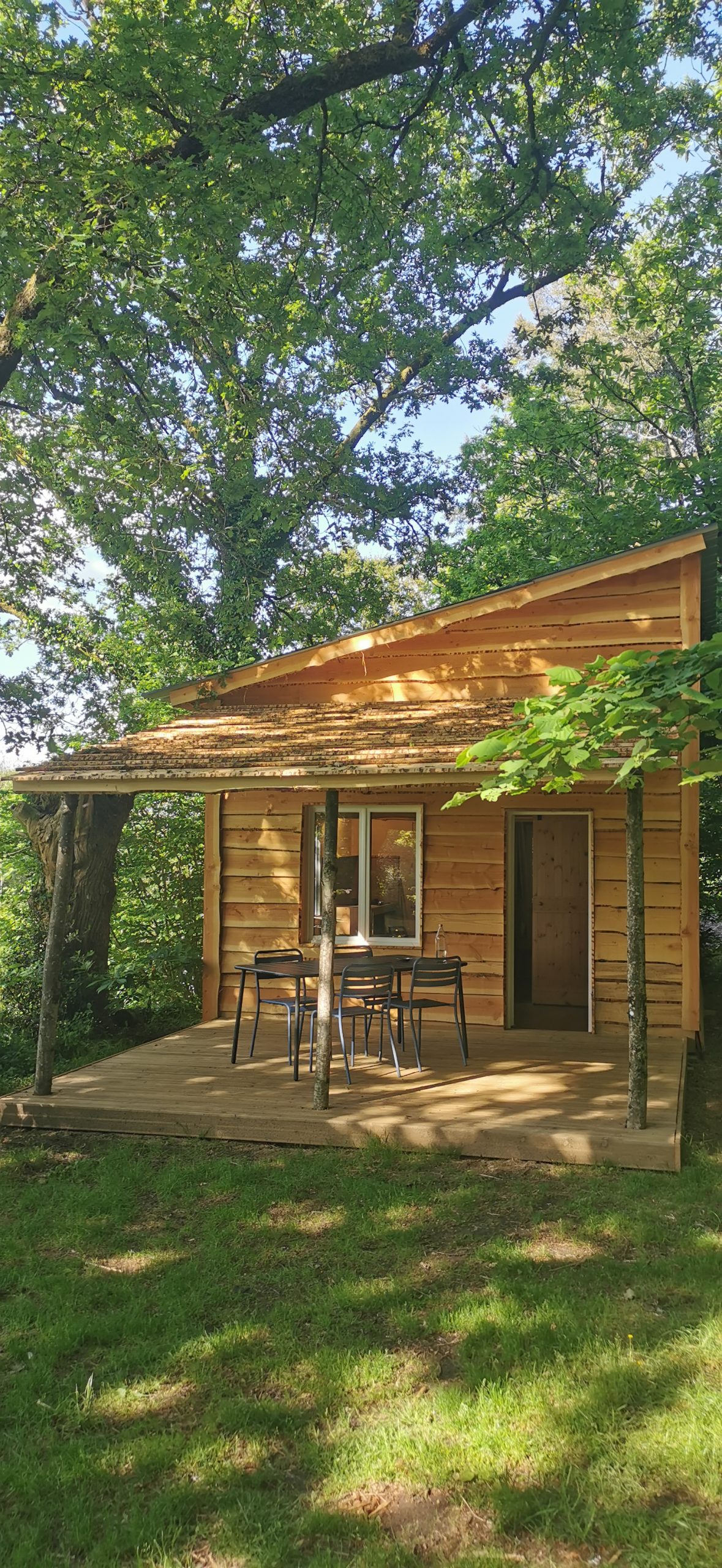 2 Charmante cabane en bois avec terrasse, nichée sous de grands arbres verdoyants.