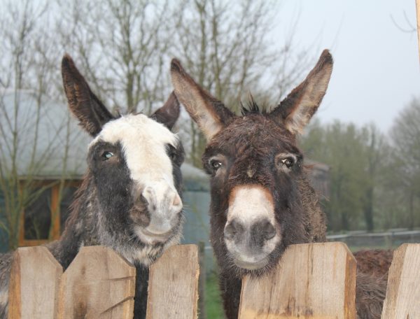 Animation_activites_Family_Ecolodge_03