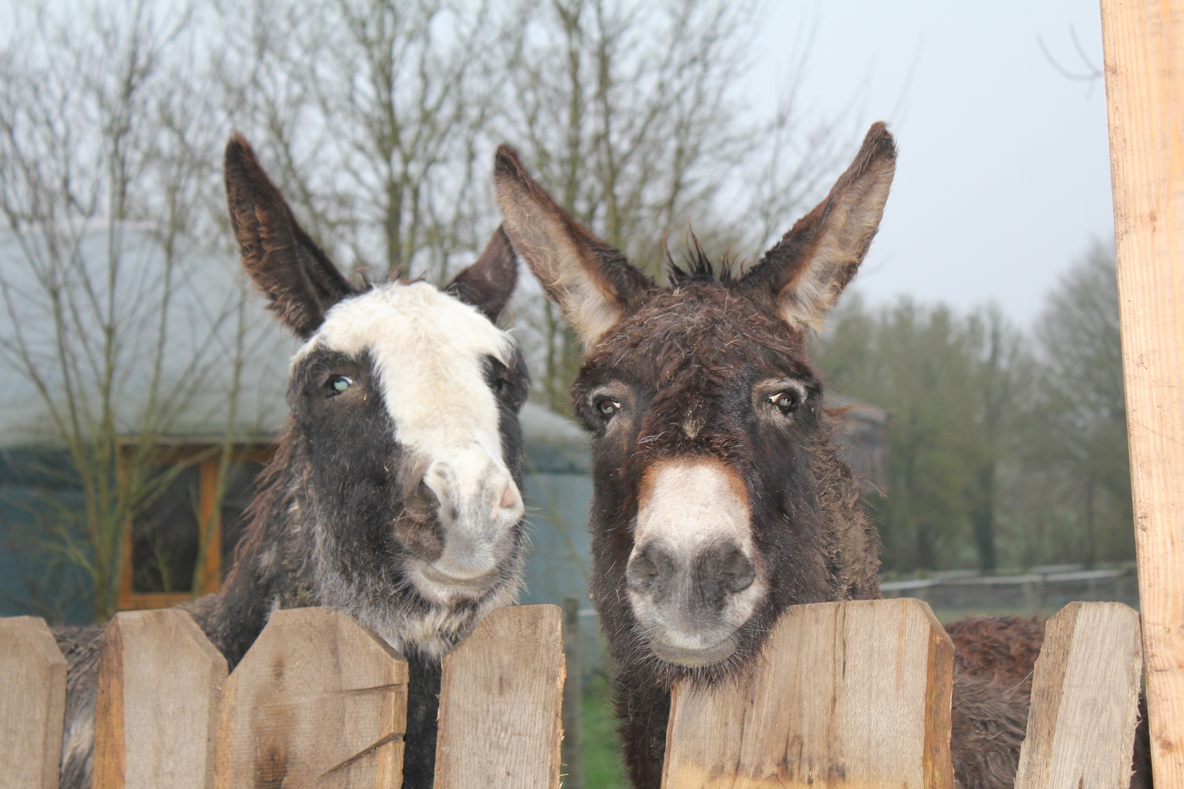 Animation_activites_Family_Ecolodge_03