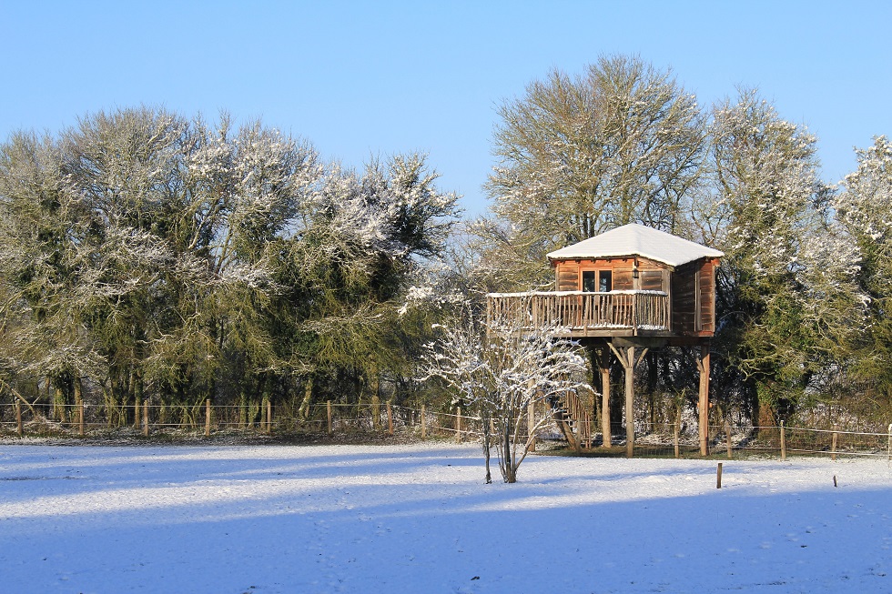 Cabane_dans_les_arbres_Family_Ecolodge_05
