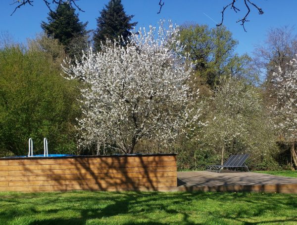 20250410_121737-scaled