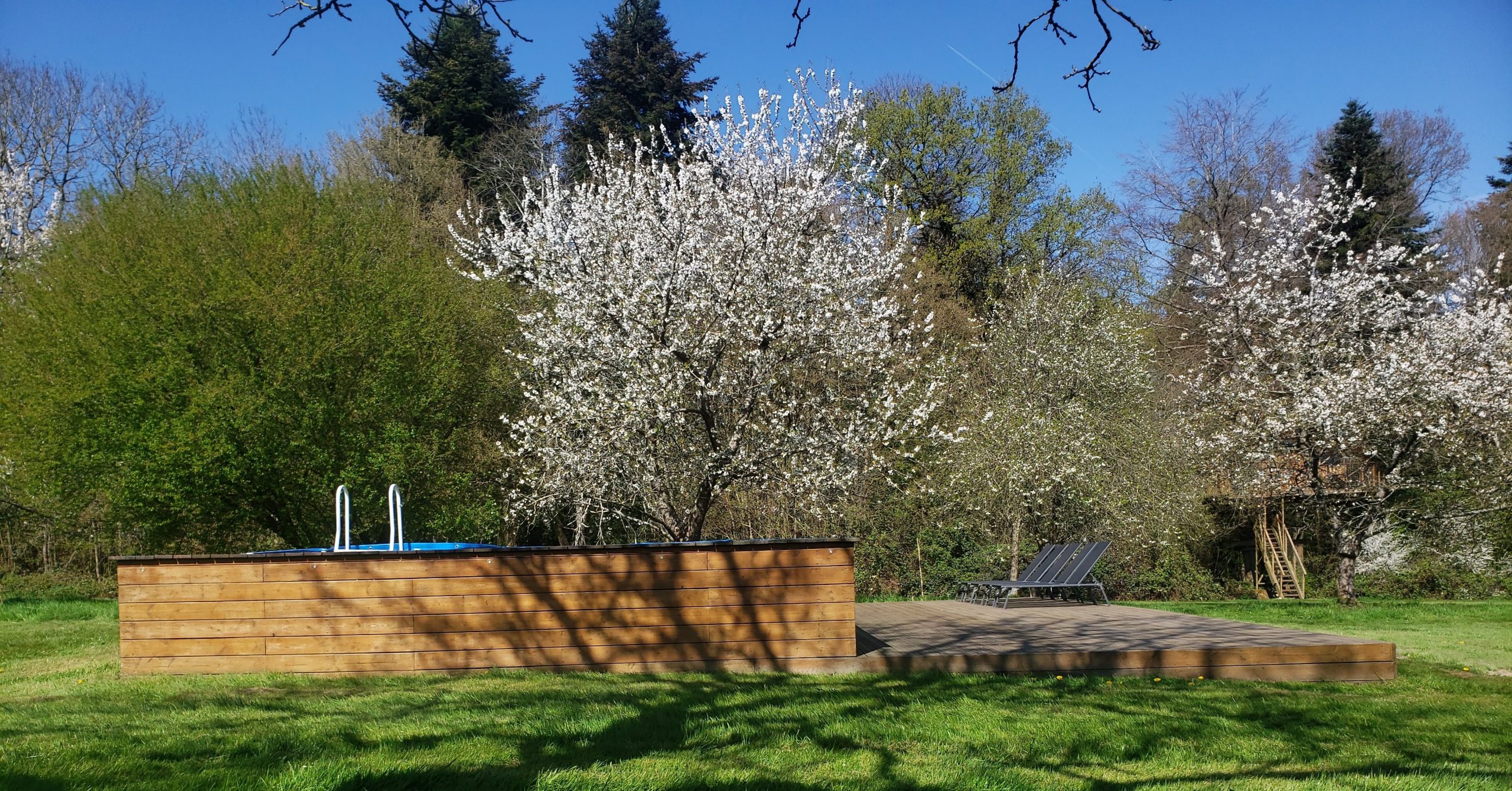 20250410_121737-scaled