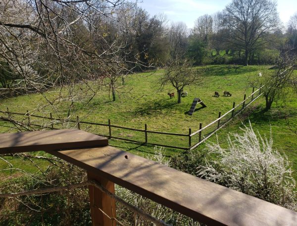 20250410_122136-scaled