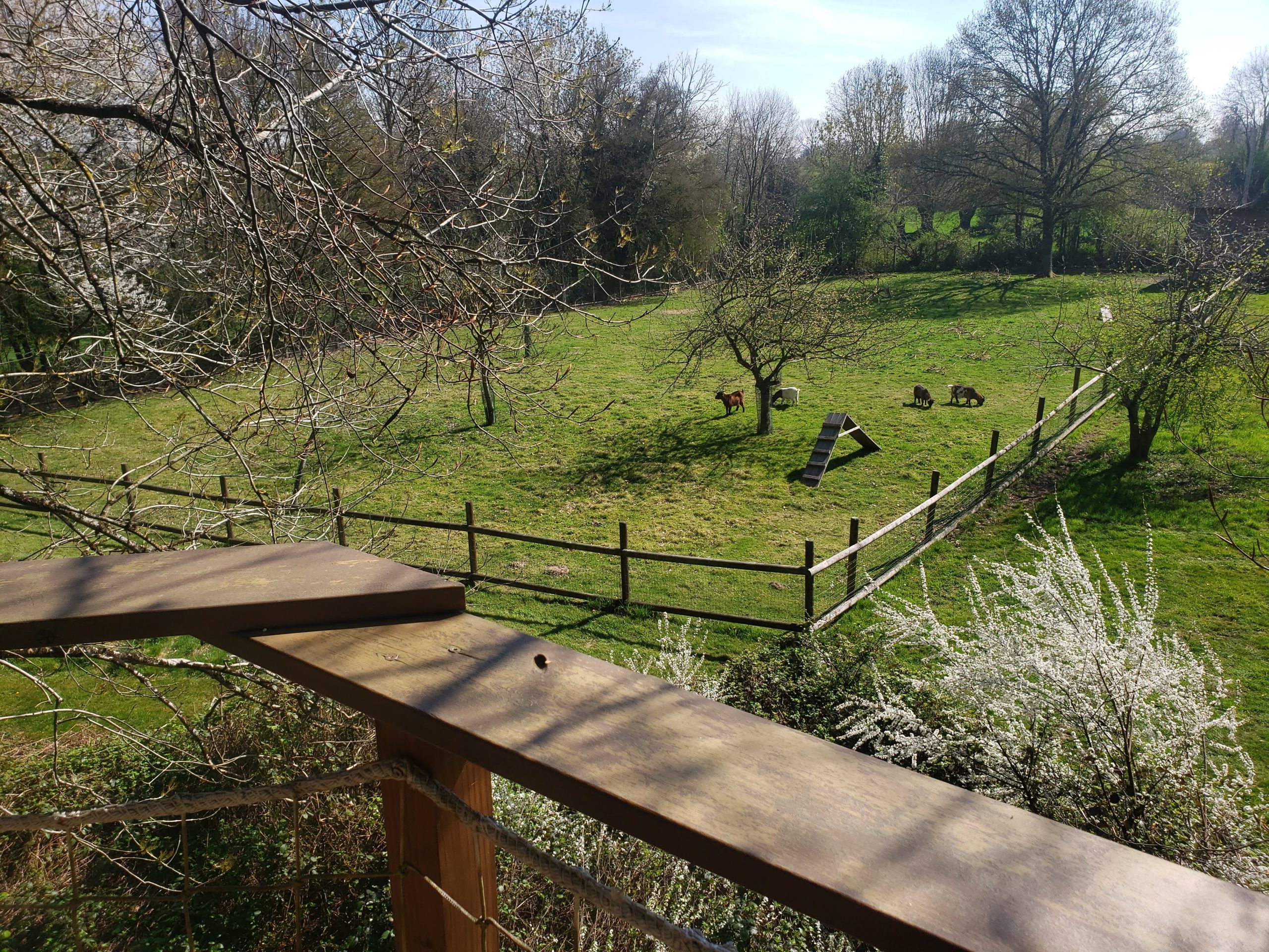 20250410_122136-scaled