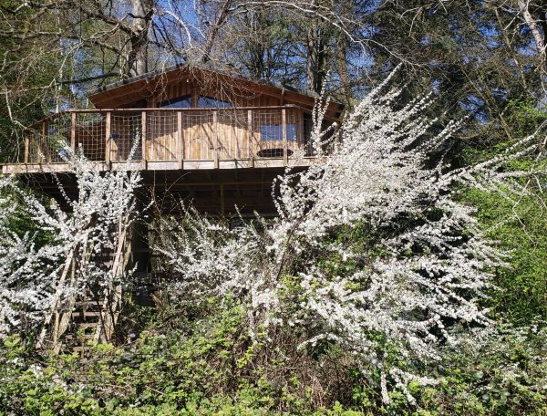 20250410_123742-scaled