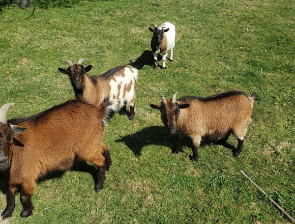 20250410_124045-scaled