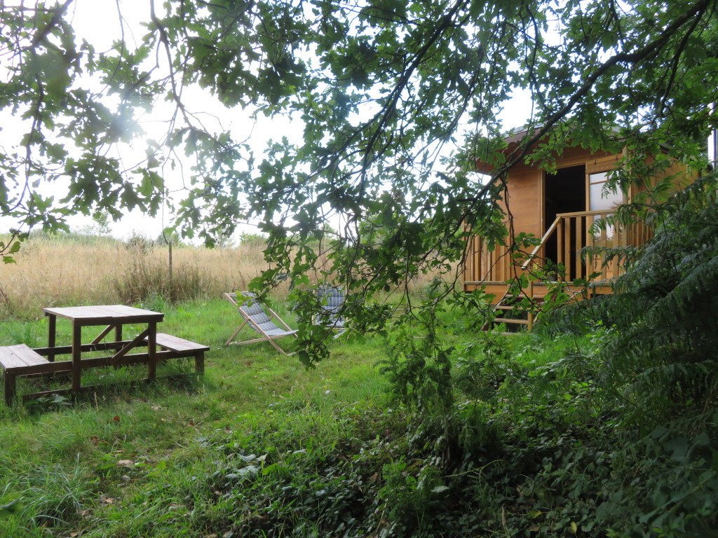IMG_7672 Cabane en bois entourée de verdure, avec une table en bois et des chaises longues.