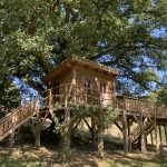 Cabane dans le chêne tricentenaire
