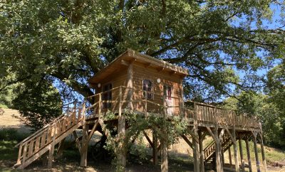 Cabane dans le chêne tricentenaire