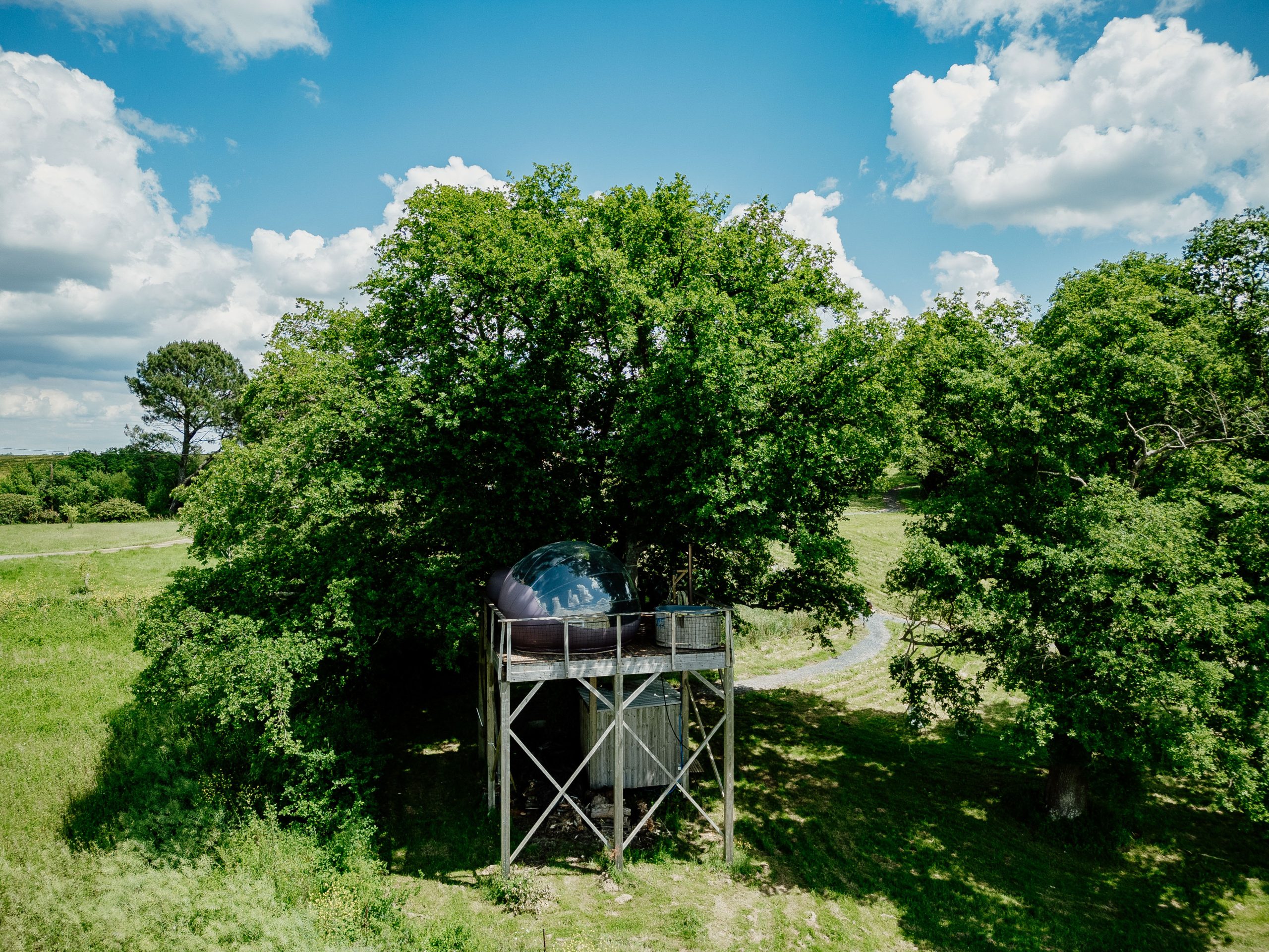 Cabane perchée dans un arbre, avec une vue dégagée sur la nature environnante et un ciel bleu.