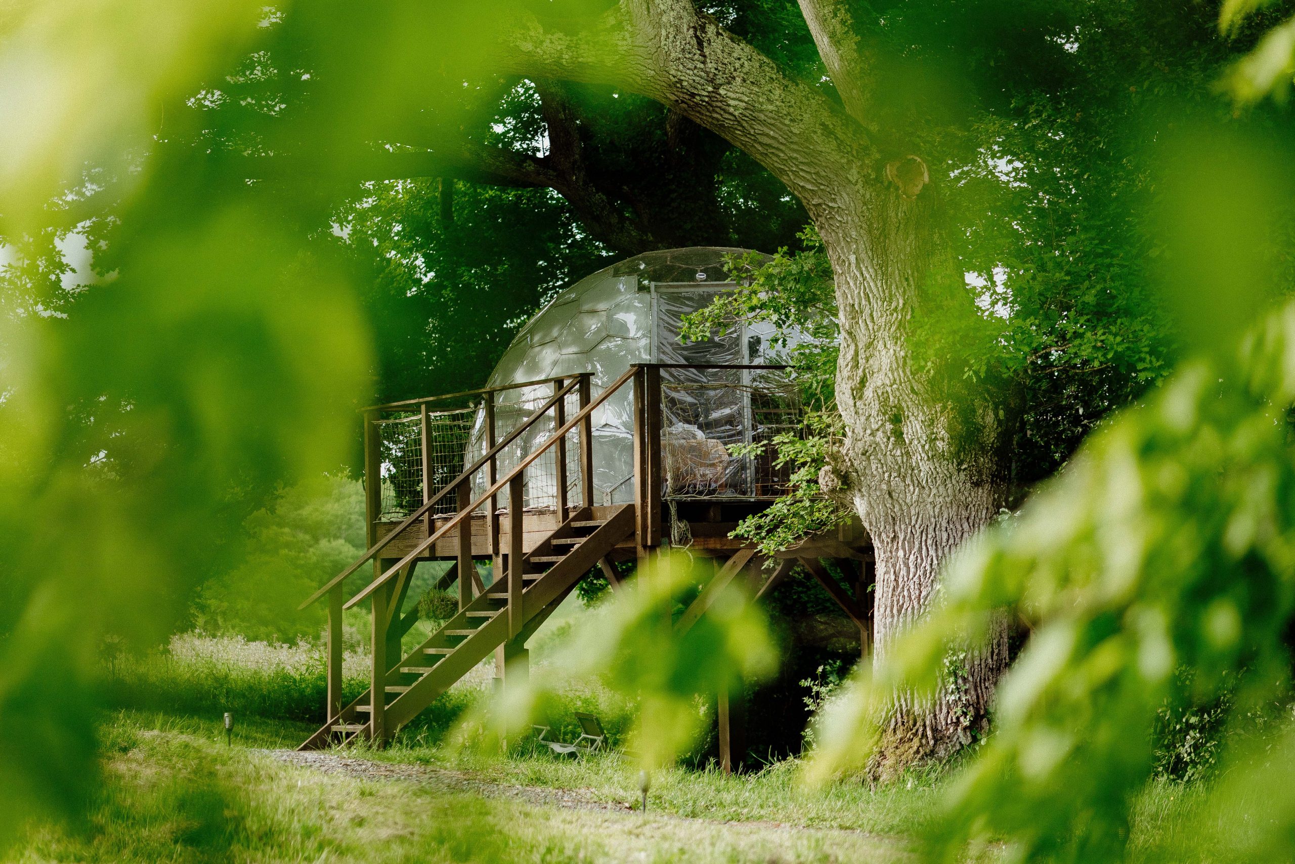 Nuit insolite_bulle_dôme_perché_occitanie_gers_Lartigue_weekend_étoiles_bain_nordique (90) Hébergement insolite : bulle transparente perchée dans un arbre, entourée de verdure.