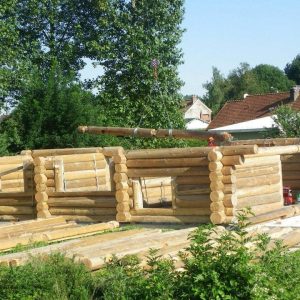 Cabane en rondins en construction, entourée de verdure et de bois, offrant un cadre naturel.