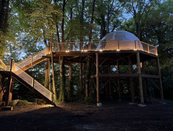 étoile filante 6_SMALL_compressed