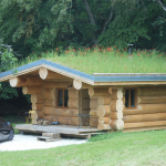 Cabane en bois avec toit végétal, entourée de verdure et d'un espace extérieur accueillant.