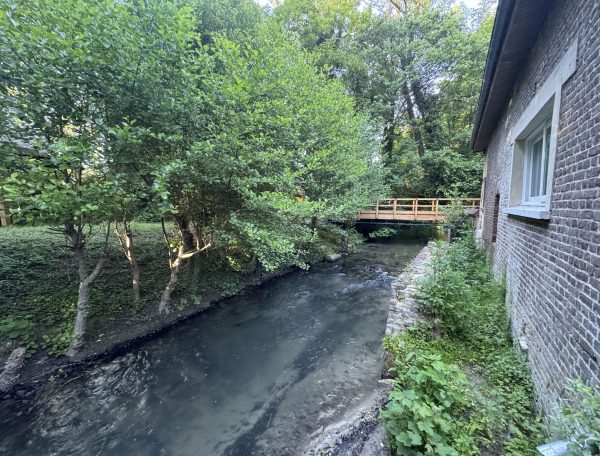 pont de ile merveilleuse_SMALL_compressed