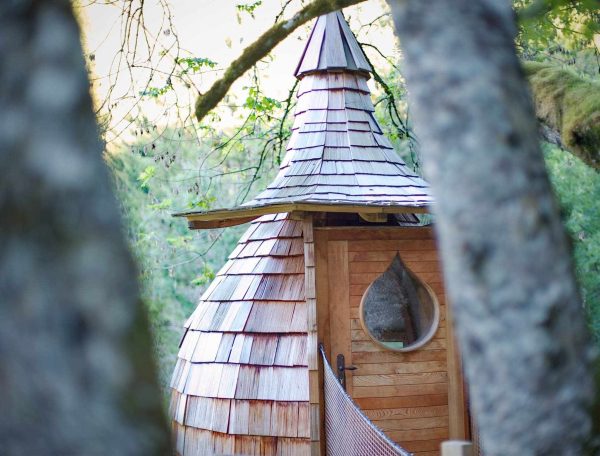 Cabane en bois avec toit en bardeaux, nichée entre les arbres.