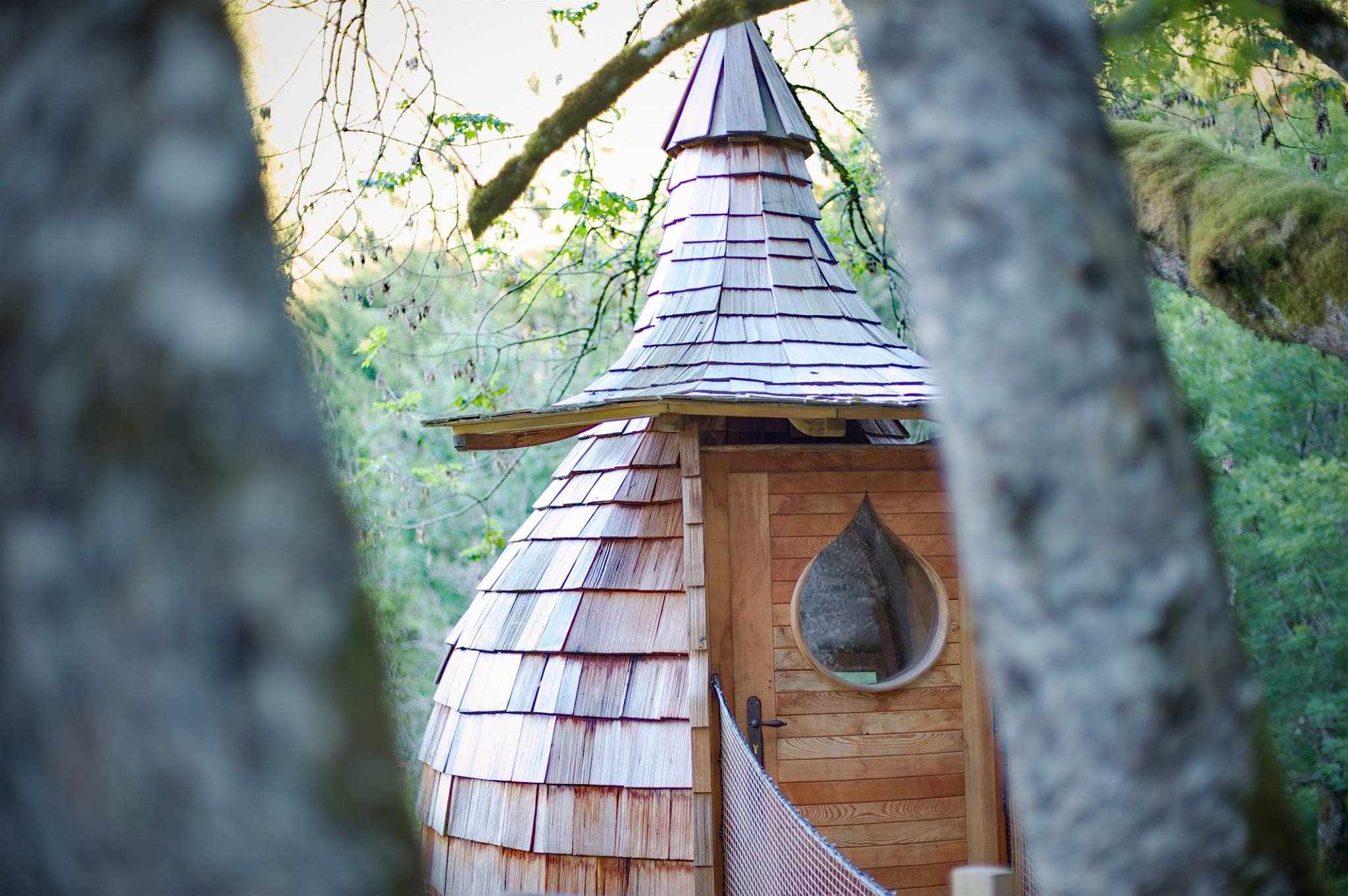 Cabane en bois avec toit en bardeaux, nichée entre les arbres.