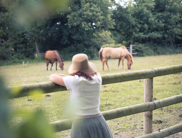 Chambre dhôtes avec vue sur un pré et des chevaux paisibles.